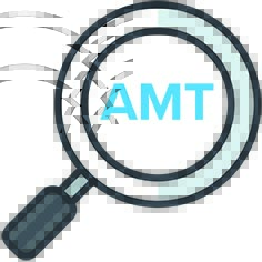 Close-Up on the Individual AMT